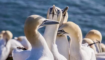 世界杯赛事直播平台下载-台湾网红“馆长”被起诉 国台办回应