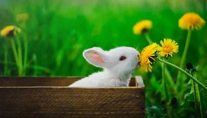 世界杯赛事直播平台下载-台湾网红“馆长”被起诉 国台办回应